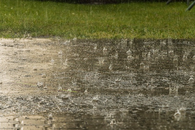 雨の画像